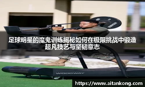 米兰体育
