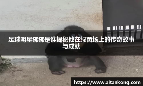足球明星狒狒是谁揭秘他在绿茵场上的传奇故事与成就